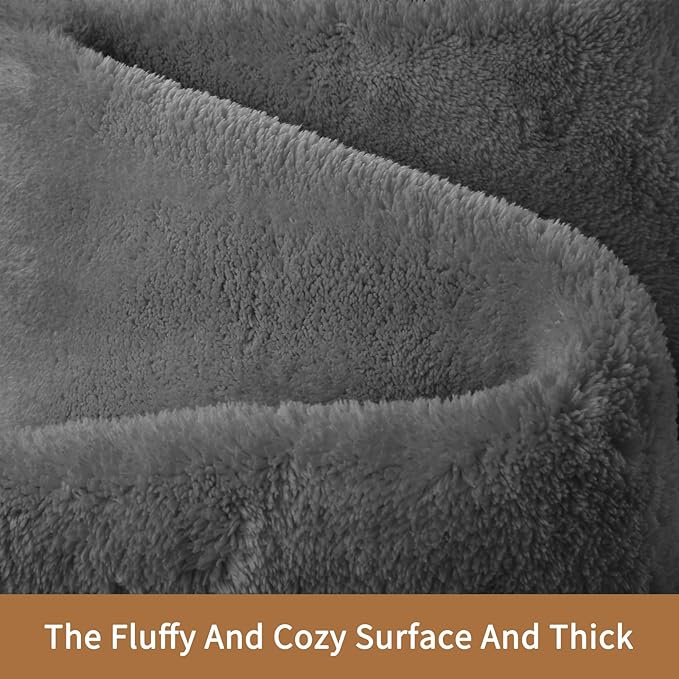 Sour Lemon 8x10 Area Rugs for Living Room, Soft Large Area Rug Fluffy Rugs for Bedroom，Machine Washable Area Rug Non Slip Carpet Rug for Living Room Playroom Kids Room Home Decor