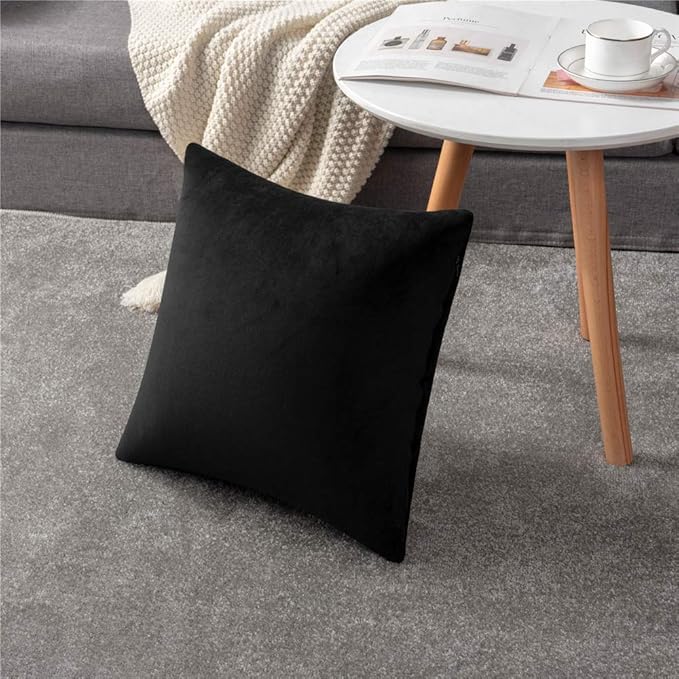 Decorative Pillow Covers 20x20 Black: 2 Pack Cozy Soft Velvet Square Throw Pillow Cases for Farmhouse Home Decor