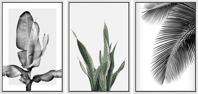 SIGNWIN Framed Canvas Print Wall Art Trio of Jungle Palms & Snake Succulents Floral Plants Photography Modern Art Minimalist Black and White for Living Room, Bedroom, Office - 16"x24"x3 White