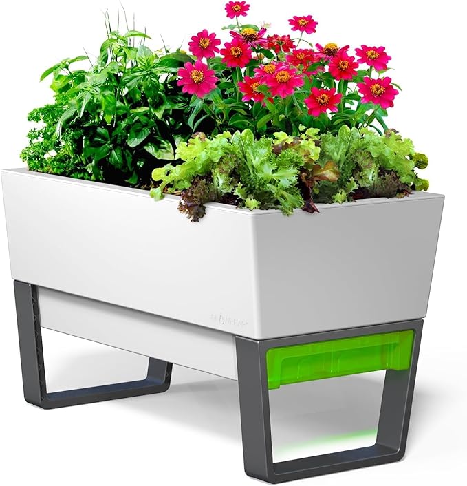 Glowpear Self Watering Planter Box - 29.5", White - UV Stable, Scalable Urban Raised Garden Bed with Water Gauge, Indoor Outdoor for Vegetables, Flowers, Herbs, and Succulents, Gardening