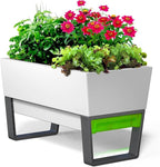 Glowpear Self Watering Planter Box - 29.5", White - UV Stable, Scalable Urban Raised Garden Bed with Water Gauge, Indoor Outdoor for Vegetables, Flowers, Herbs, and Succulents, Gardening