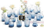 RUCKACE Bud Vases in Bulk 22 Blue Glass Small Vases Flower Vase Bulk for Centerpiece Table Wedding Decorations Home Decor Party(Gradient Blue 22 Pack)