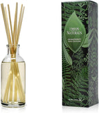 Urban Naturals Coconut Breeze Reed Diffuser Oil Set with Reed Sticks – Warm Coconut, Pineapple and Tahitian Vanilla - Made in The USA