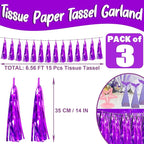 3P Purple Foil Fringe Metallic Tassel Streamers Banner Tassel Garland for Parade Floats, Bachelorette, Wedding, Birthday, Halloween, Christmas, Bridal/Baby Shower Party Decorations
