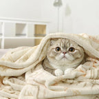 Lahome Trible Printed Blanket Aztec Beige Throw Blanket for Couch Soft Cozy Flannel Fluffy Throw Blanket Fuzzy Retro Throw Blankets for Bed Sofa, Ivory 50''x60''