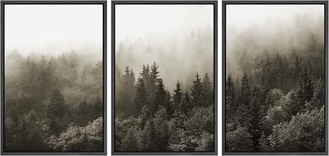 SIGNWIN Framed Canvas Print Wall Art Woodland Nursery Decor Set Fog & Mist Over Blue Pine Tree Forest Nature Modern Art Rustic Landscape Colorful for Living Room, Bedroom, Office - 16"x24"x3 Black