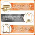 Wall Plant Holder, Wall Planter for Indoor Plants, Window Plant shelves for Multiple Plants Indoor Outdoor, Framed Plant Holder for Home Decor (2 Pack)