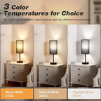 Dicoool 17Inch Tall Bedroom Lamps with USB C and A Ports 3 Color Temperatures - Pull Chain Black Nightstand Bedside Table Lamp with AC Outlet, Side Lamp for Living Room End Table