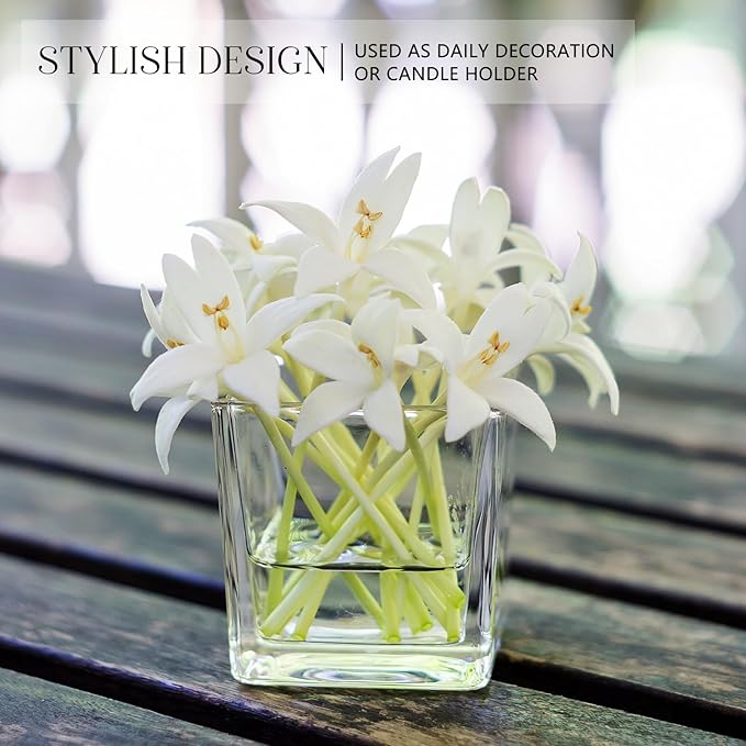 KEYWING 6 Pack Square Glass Vase 4" x 4" x 4", Clear Flower Vases for Centerpieces, Square Glass Cube Vase Candle Holder for Wedding, Party, Home Office Decoration