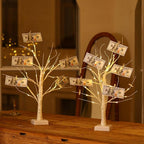 2 Pack Money Tree Gift Card Holder 24 LED Birch Twig Tree Lights Battery/USB Powered Light Up Display Twig Gift Card Trees with 22 Clear Clips for Money Christmas Card Photo Birthday Graduation