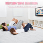 Shag Area Rug for Bedroom 4x6,White Fluffy Area Rugs for Living Room,Soft Fuzzy Rug Non-Shedding Indoor Plush Carpet for Kids Bedroom Nursery Dorm Home Decor