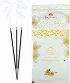 RAJRANG Nag Champa Incense Sticks Box 120 Grams (120 Sticks) Scented Hand Rolled Agarbatti for Temple Room Freshener Yoga
