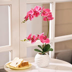 Artificial Potted Orchid Faux Phalaenopsis Silk Flowers Bonsai Realistic Arrangement in Ceramic Vase for Home Decoration Table Centerpiece, Rose Red