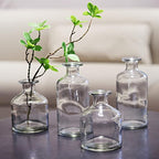 WDHODEC Glass Bud Vases Set of 4, Small Clear Vases for Flowers, Mini Glass Vase Assorted for Rustic Wedding, Floral Arrangements, Home Table Decorations