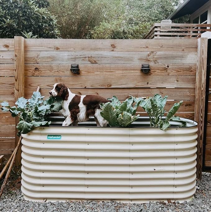 Vego garden 32" Extra Tall Raised Garden Bed Kits, 6 in 1 Modular Raised Planter Box for Vegetables Flowers Fruits Oval Metal Raised Garden Bed- Pearl White