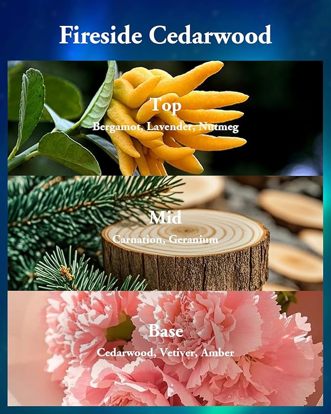 M&SENSE Fireside Cedarwood Scented,Soy Wax Candle,2 Wick 12.7oz Jar Candle,75 Hour Long Lasting Slow Burning, Soy Organic Wax Non Toxic,Aromatherapy Candle Gift for Christmas