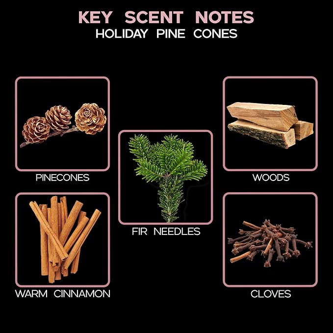 LOVSPA Reed Diffuser Set, Holiday Pine Cones Scented Oil Diffuser with Sticks, Home Fragrance Accessories for Bathroom Shelf Decor, Aroma Diffusers for Home or Office Desk, USA Made