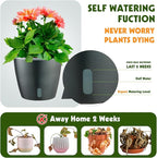 Self Watering Pots for Indoor Plants, 6-Pack 5'' Self Watering Planter with Drainage Holes, Small African Violet Pots with Water Indicator, Clear Wick Orchid Pot, Grey