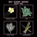 LOVSPA Reed Diffuser Set, Snow Pine Scented Oil Diffuser with Sticks, Home Fragrance Accessories for Bathroom Shelf Decor, Aroma Diffusers for Home or Office Desk, USA Made