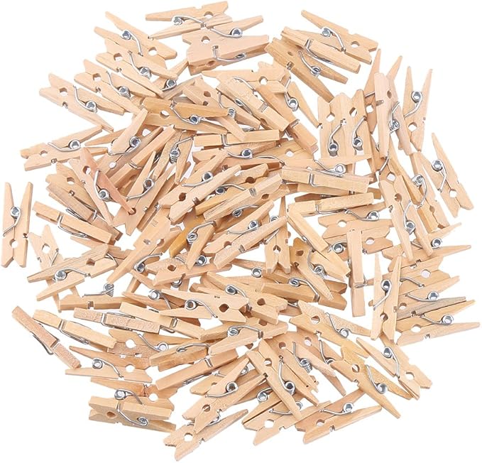 DECORA Sturdy 1 Inch Mini Wooden Craft Clothespins 100pcs
