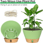 ZMTECH 2 Pack 10 Inch Hanging Planters with Macrame Plant Hanger for Indoor and Outdoor Plants, Self Watering, Drainage Hole, Visible Level Tray, Green