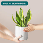 vancasso Ceramic Plant Pots, 6.25 Inch Ceramic Pot for Plants, Planters Pots for Indoor Plants with Drainage Holes, Flower Pot for Indoor House Plant, White