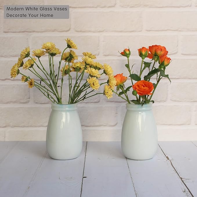 YANLING 6 Pack White Vase for Decor Ceramic Vase for Flowers, Small Bud Vases for Home Decor White Flower Vase, Boho Vases Dried Flowers Vases