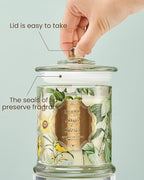 M&SENSE Sage Citrus Scented Candles, Natural Organic Soy Candle 12.7oz 75H Long Lasting Slow Burning, 2 Wick Large Jar Candle Stress Relief Air Purifying, Gifts for Men Women Father