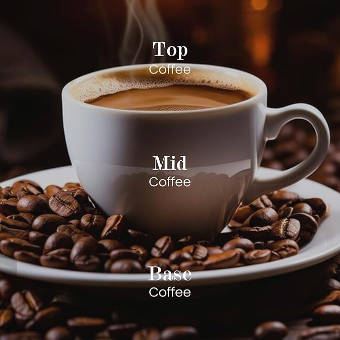 M&SENSE Natural Soy Candle| Espresso Love | 8.82 oz, 50H Burn | Minimalist Scented Candle for Relaxation, Gifting, Home Décor | for Bedroom, Office, Party Medium