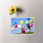 HIIMIEI 4x6 Magnetic Frame Refrigerator 20 Pack, Refrigerator Picture Frames, Magnetic Frame White