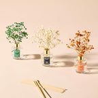 Airkeep Reed Diffuser Set of 3, Black Forest Eucalyptus Moss Citrus Oil Reed Diffusers for Bedroom Living Room Office Aromatherapy Oil Reed Diffuser for Gift 50ml x 3