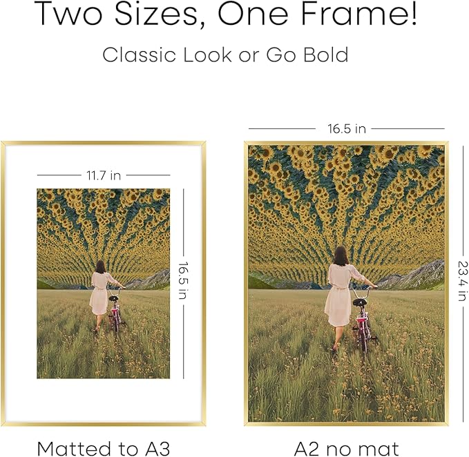 Homeforia A2 Picture Frame Gold, High End Metal 16.5 x 23.5 inches Poster Frames with Mat 11.7 x 16.5 for Photo, A2 Size Frames Matted to A3 Print, 16.5 by 23.4 Hanging Frame, Tempered Glass, Set of 1