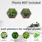 Hexagonal Wooden Wall Planter, Self Watering Living Vertical Planter Indoor, Wooden Frame Planter Wall Decoration Home Office,2pc Walnut