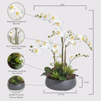 CG Hunter Faux Orchid Plant w/Succulents, Premium Artificial Indoor Flower Display Stands 24” w/Beautiful Sculptural Blooms and Succulents That Lasts Forever, Grey Planter Pot Included