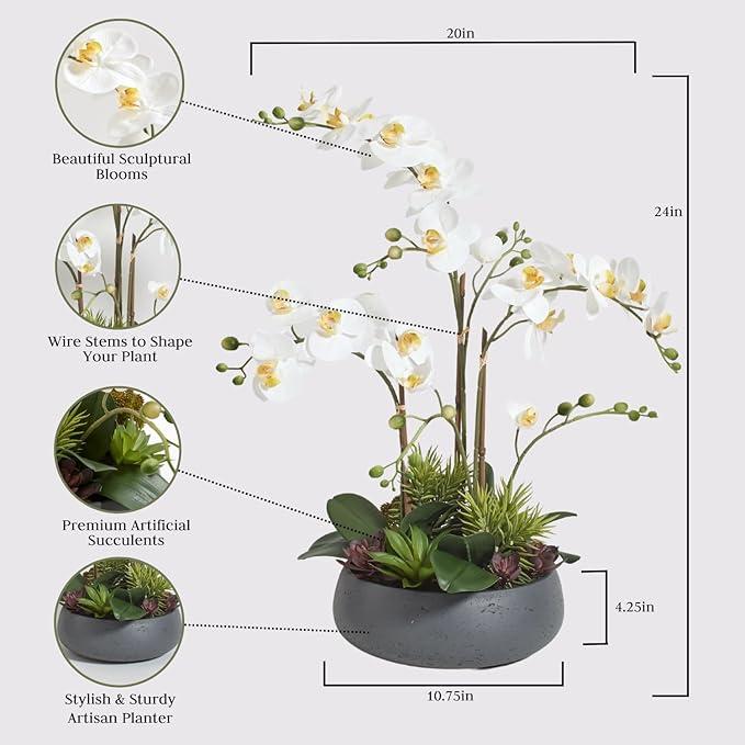 CG Hunter Faux Orchid Plant w/Succulents, Premium Artificial Indoor Flower Display Stands 24” w/Beautiful Sculptural Blooms and Succulents That Lasts Forever, Grey Planter Pot Included