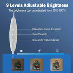 Ultrathin Its 5 00 O'clock Some Where Neon Sign Art Wall Lights for Bedroom Windows Glass Hotel Pub Cafe Wedding Birthday Party Gifts