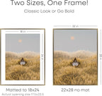 Homeforia 22x28 Picture Frame Bronze, High End Metal 22 x 28 Large Poster Frames with Mat 18 by 24 Photo, 22x28 Brass Frame Matted to 18x24 Print, 28x22 Thin Frames, Tempered Glass, Wall Kit, Set of 1