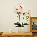 Artificial Potted Orchid Faux Phalaenopsis Silk Flowers Bonsai Realistic Arrangement in Silver Vase for Home Decoration Table Centerpiece, White