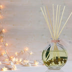 LOVSPA Reed Diffuser Set, Winter Woods Scented Oil Diffuser with Sticks, Home Fragrance Accessories for Bathroom Shelf Decor, Aroma Diffusers for Home or Office Desk, USA Made