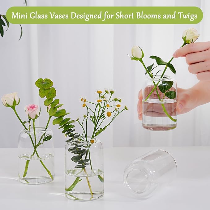 Small Glass Flower Vases, Set of 10 Clear Bud Vases for Centerpieces Mini Vase Bulk for Flowers for Wedding Birthday Party Housewarming Valentines' Day Table Centerpiece Decor