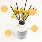 Reed Diffuser Set,5.1oz Sea Salt&Sage Scent Diffuser with Sticks Home Fragrance Reed Diffuser with Essential Oil for Bathroom Shelf Decor&Air Freshener,Home Bathroom Office Decor & Gifts