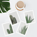 SIGNWIN Adhesive Canvas Poster Green Cactus Snake Plant Collage Desert Landscape Nature Wilderness Photography Realism Decorative Rustic Cozy Zen for Living Room, Bedroom, Office - 12"x16"x4