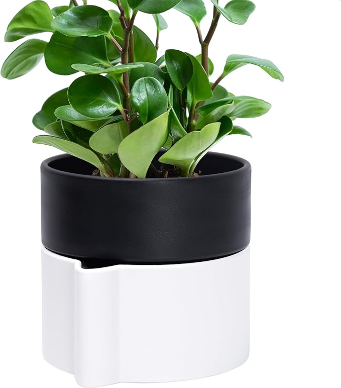 Phoenix Vine 6.5 Inch Self-Watering Planter Pot with Terracotta Insert, Deep Water Reservoir, and Ceramic-Alike BPA-Free Plastic Pot for Plant, Modern Planter for Houseplants, White/Black, 53-B-S-4