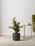 LE TAUCI Fluted Ceramic Planters Set of 3 – 8.3/7 / 5.7 in Dark Olive Reactive Cylinder Indoor Plant Pots with Drainage Plug & Mesh, Glossy Stoneware Flower Pots for Succulents Herbs