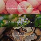 M&SENSE Natural Soy Candle| Pink Jasmine Blossom | 16.6 oz, 95H Burn | Minimalist Scented Candle for Relaxation, Gifting, Home Décor | for Bedroom, Office, Party Large