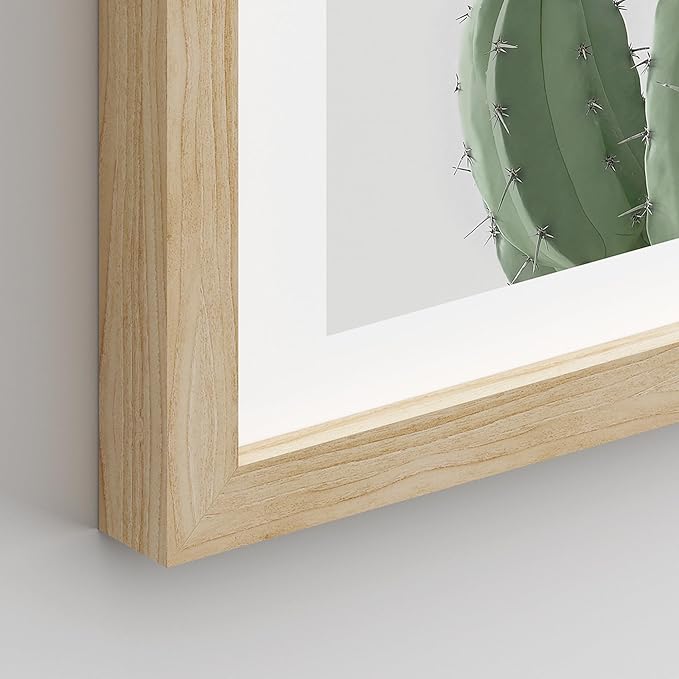 SIGNWIN Framed Green Cactus Snake Plant Wall Art, Set of 4 Collage Desert Landscape Wall Decor Prints, Nature Wilderness Wall Décor for Living Room, Bedroom - 11"x14"Natural
