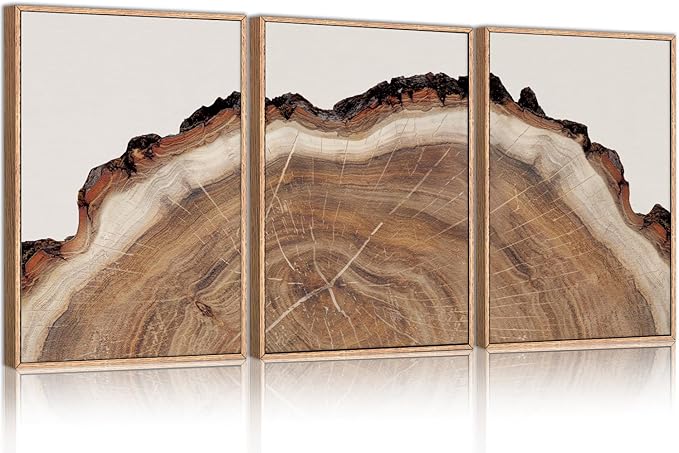 HPINUB Tree Rings Wood Wall Art Framed Set, Modern Beige Wood Stump Wall Decor, Abstract Tree Spiral Wall Painting,Nature-Inspired Art Print for Living Room, Bedroom, Dining Room, Office-16 x24 x3