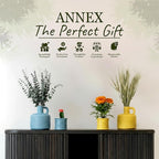 Scented Luxury Candles in Handmade Ceramic Jars, Soy Wax | Day On The Sea – Cypress & Cedar, Large Candle | Non Toxic, 2 Wicks, Reusable Big Blue Jar | Natural Spring Aromatherapy for Women & Men