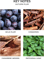 NEST New York Scented 3-Wick Candle, Autumn Plum - 21.2 oz - Up to 100-Hour Burn Time - Reusable Glass Vessel