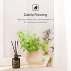 Reed Diffuser for Pet Odor Elimination, Berry Rum, Non-Toxic & Pet-Friendly Air Freshening, 6 Oz